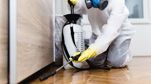 Best Pest Prevention Services  in Dundee, NY